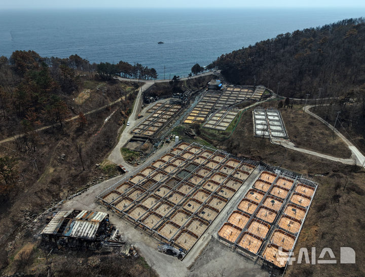 [영덕=뉴시스] 김금보 기자 = 10일 경북 영덕군 영덕읍 석리 한 양식장이 산불에 전소돼 있다. 2025.04.10. kgb@newsis.com