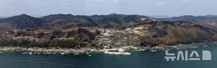 [영덕=뉴시스] 김금보 기자 = 10일 경북 영덕군 일대가 산불에 훼손돼 있다. 2025.04.10. kgb@newsis.com