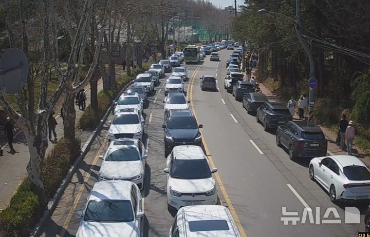 [전주=뉴시스]윤난슬 기자 = 전북 전주시는 봄 행락철 주요 정체 구간인 전주동물원과 어린이창의체험관 일대에 교통정보 제공용 폐쇄회로(CC)TV를 추가로 설치하고, 교통안내전광판을 통해 실시간 차량흐름 영상을 제공하는 시스템을 구축했다고 11일 밝혔다.(사진=전주시 제공)