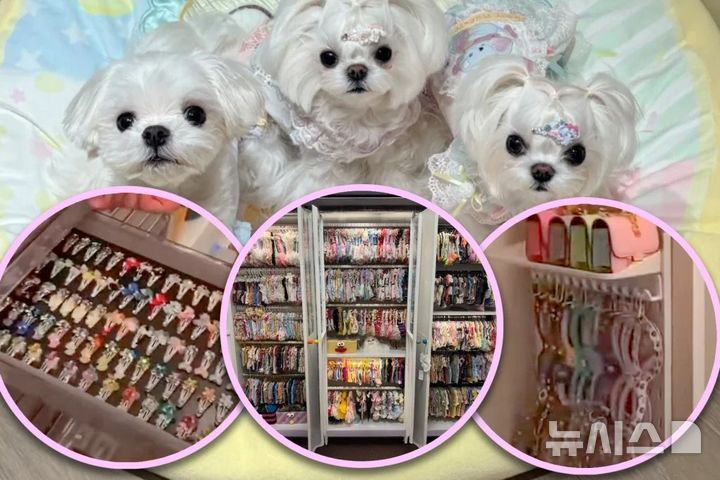 [서울=뉴시스] 11일(현지 시각) 홍콩 사우스차이나모닝포스트(SCMP)에 따르면 중국의 한 여성이 반려견을 위한 옷과 액세서리에 약 4억 원을 지출하고 반려견 전용 옷장까지 만들어 화제다. (사진=SCMP/웨이보) 