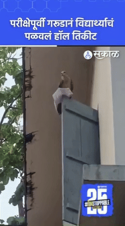 (인도 프리프레스저널) *재판매 및 DB 금지