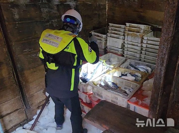 [제주=뉴시스] 남해어업관리단이 11일 오전 제주 차귀도 해상에서 불법 조업 중국 어선을 적발하고 어창을 조사하고 있다. (사진=남해어업관리단 제공) 2025.04.12. photo@newsis.com 