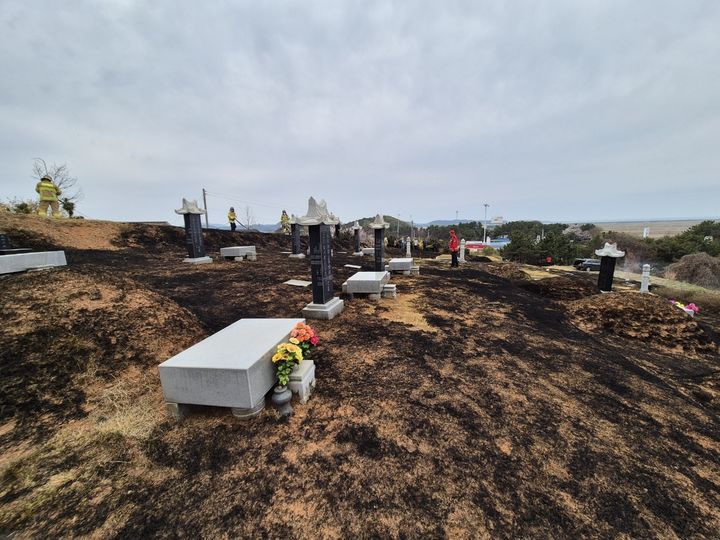 [보령=뉴시스] 12일 오전 10시25분께 충남 보령시 주교면 주교리의 한 가족묘지에서 불이 나 47분만에 꺼졌다. (사진=보령소방서 제공) 2025.04.12. photo@newsis.com *재판매 및 DB 금지