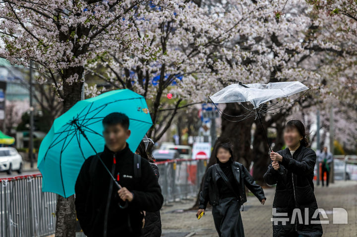 [서울=뉴시스] 정병혁 기자 = 서울 시내에 강풍을 동반한 우박이 내린 13일 서울 영등포구 여의서로에서 시민들이 쓴 우산이 강풍에 뒤집히고 있다. 2025.04.13. jhope@newsis.com