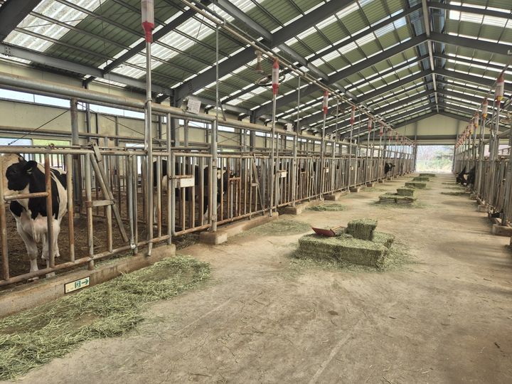 농협·농식품부 협력 결실… K-우유 '생산성·품질' 두마리 토끼 잡았다