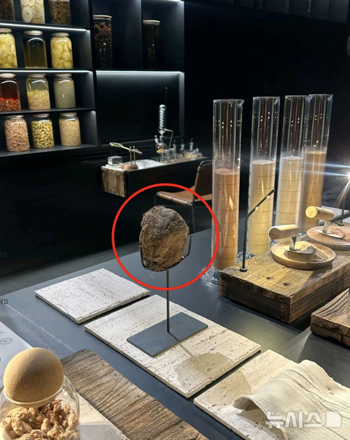 [서울=뉴시스] 코끼리 똥으로 만든 디저트의 모습. (사진=샤오샹모닝뉴스) 