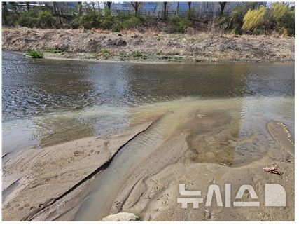 [안양=뉴시스] 토사 쌓인 학의천 전경. (사진=윤해동 시 의원 제공). 2025.04.15. photo@newsis.com *재판매 및 DB 금지