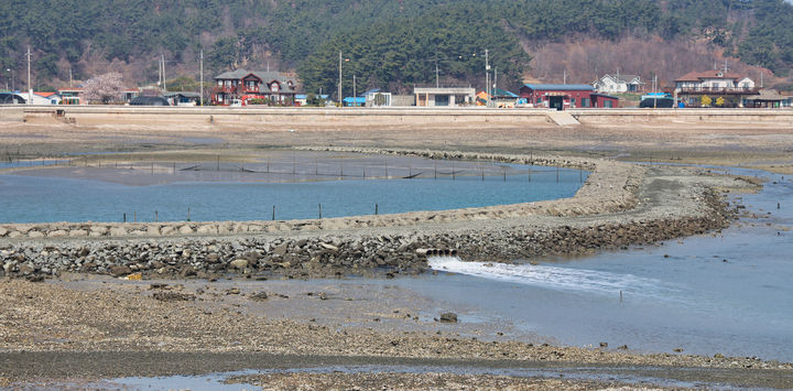 [태안=뉴시스] 충남 태안군 어촌뉴딜300사업지 중 하나인 소원면 개목항에 조성된 독살생태체험장 모습. (사진=태안군 제공) 2025.04.15. photo@newsis.com *재판매 및 DB 금지