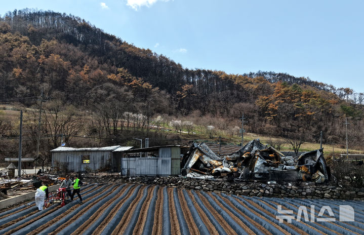 [영양=뉴시스] 이무열 기자 = 15일 경북 영양군 석보면 화매리 한 농가에서 산불 피해를 입은 농민과 농촌진흥청 농업기계 안전전문관들이 농기계로 밭을 일구고 있다. 2025.04.15. lmy@newsis.com