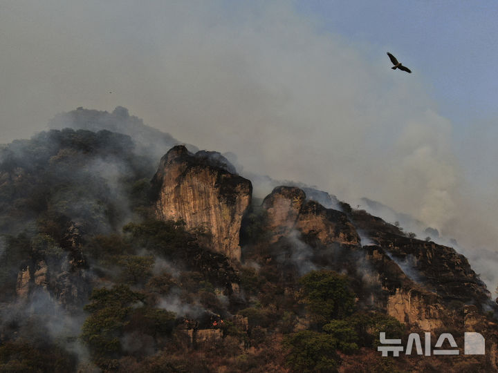 [아마틀란=AP/뉴시스] 15일(현지 시간) 멕시코 아마틀란 외곽에서 산불이 발생해 연기가 피어오르고 있다. 멕시코 전역에서 100건이 넘는 화재가 발생해 지금까지 약 3만8405헥타르(약 3185㎢)의 산림이 피해를 본 것으로 나타났다. 이러한 산불의 확산은 고온 건조와 강풍 등 기후 변화로 인한 이상 기후 현상이 주요 원인으로 지목되고 있다. 2025.04.16.