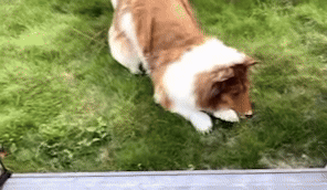 (사진=토코 유튜브) *재판매 및 DB 금지