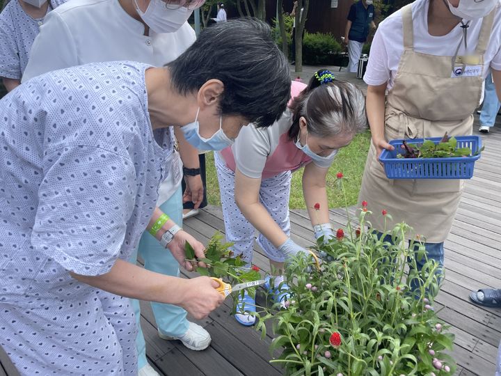 [세종=뉴시스] 농촌진흥청은 조현병 환자·우울증 고위험군을 대상으로 식물 재배 활동을 중심으로 한 '치유농업 프로그램'을 의료기관에서 실증한 결과, 기존 약물치료만 받은 환자보다 상당한 정신질환 증상 개선 효과가 확인됐다고 16일 밝혔다. (사진=농진청 제공) 2025.04.16. photo@newsis.com *재판매 및 DB 금지