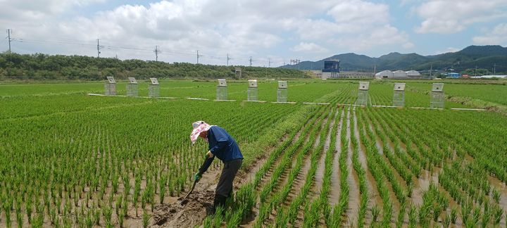 *재판매 및 DB 금지
