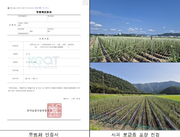 한국농업기술진흥원이 고품질 과수 재배의 첫걸음인 '무병 묘목'을 인증하는 국가 제도 2년차를 맞아 주요 과수 품종을 확대하는 등 본격 시행한다. (사진 = 농진원 제공) 2025.04.16. *재판매 및 DB 금지