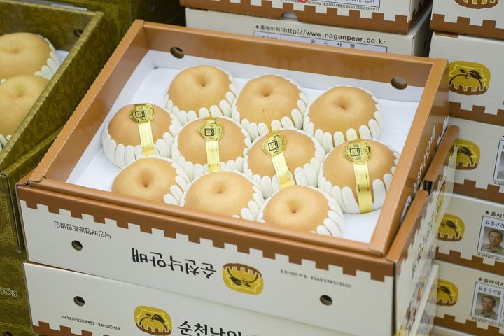 [순천=뉴시스] 순천 낙안배. (사진=순천시 제공) 202504.16. photo@newsis.com *재판매 및 DB 금지