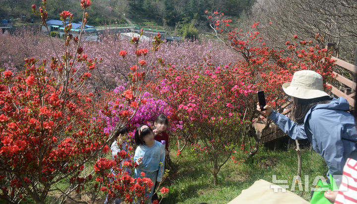[전주=뉴시스] 김얼 기자 = 완연한 봄 날씨가 이어지고 있는 전주시 완산칠봉 꽃동산에서 시민들이 기념 촬영을 하고 있다. 2025.04.16. pmkeul@newsis.com