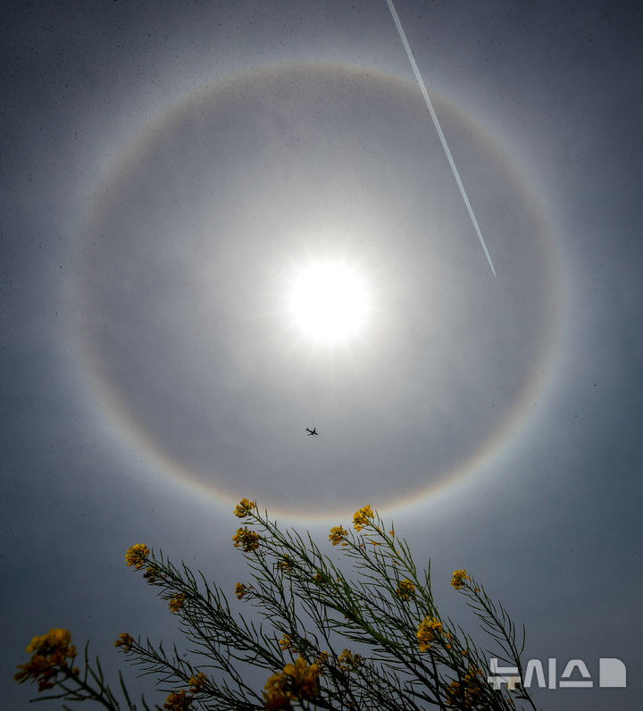 [제주=뉴시스] 우장호 기자 = 추위가 물러난 16일 오후 제주시 이호동에서 바라본 하늘에 햇무리가 관측돼 시선을 사로잡고 있다.&nbsp; 햇무리는 상공에 균일하게 옅은 구름이 드리우면 해 둘레에 빛깔이 있는 둥근 테두리가 생기는 현상을 말한다. 2025.04.16. woo1223@newsis.com