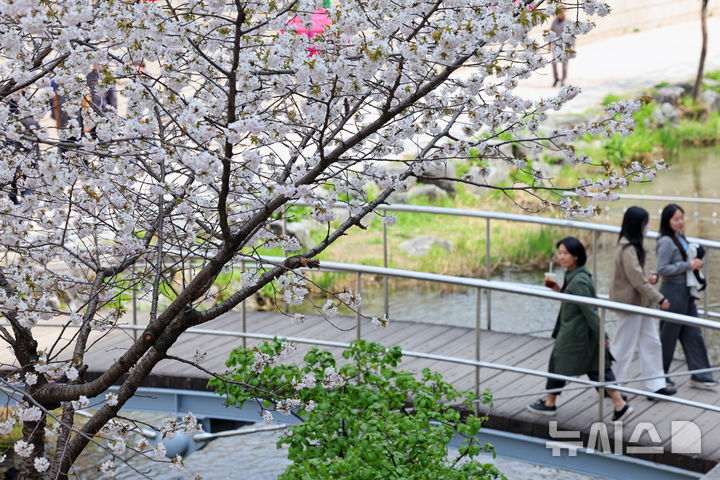 [서울=뉴시스] 김금보 기자 = 평년 기온을 회복하며 완연한 봄 날씨를 보인 16일 서울 중구 청계천에서 시민들이 휴식을 취하고 있다. 2025.04.16. kgb@newsis.com