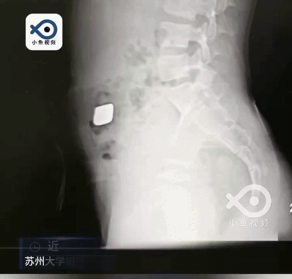(사진=바스틸레포스트) *재판매 및 DB 금지 *재판매 및 DB 금지