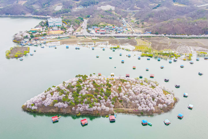 [진천=뉴시스] 충북 진천군 초평호 꽃섬 모습. (사진=진천군 제공) photo@newsis.com *재판매 및 DB 금지