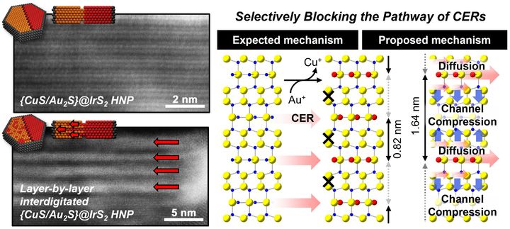 [수원=뉴시스] 경기대 화학과 박종식 교수 연구팀이 새로운 나노입자 합성 전략을 보고했다. 사진은 해당 연구 요약 자료. (사진=경기대 제공) 2025.04.17. photo@newsis.om *재판매 및 DB 금지