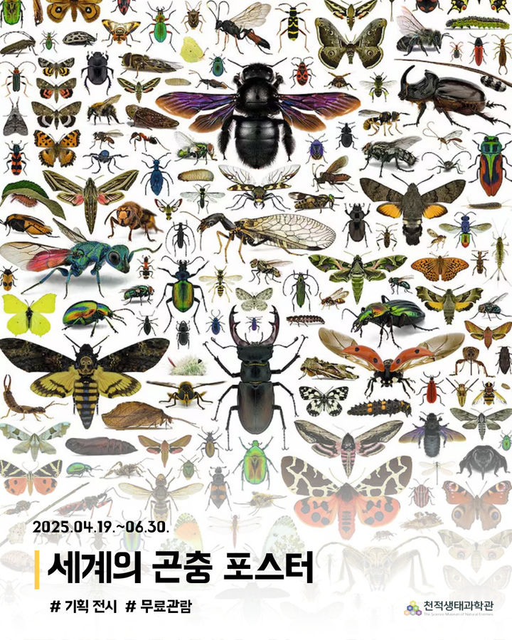 특별기획전 '세계의 곤충포스터' 전시회…80점 선보인다