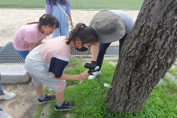 충북도 산림환경연구원 '학교로 찾아가는 산림분야 진로체험'. (사진=충북도 제공) *재판매 및 DB 금지