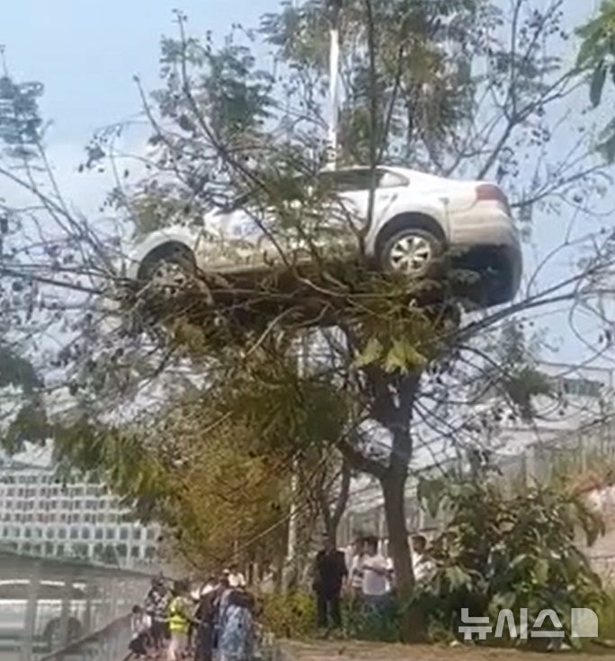 [서울=뉴시스] (사진=중국 광명왕)