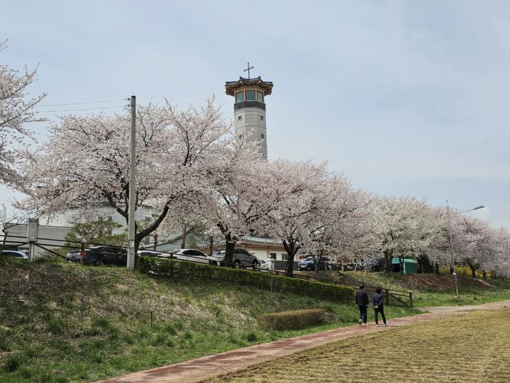 포근한 충남권, 아침 10도·낮 26도…미세먼지 '나쁨·보통'