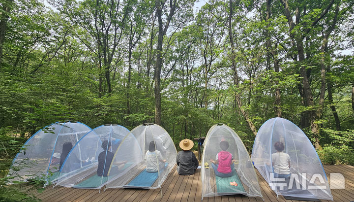 [성남=뉴시스] 성남시가 산림복지 프로그램을 운영하고 있다. 사진은 산림 치유중인 아동들의 모습 (사진=성남시 제공) 2025.04.18.photo@newsis.com