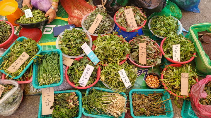 [양양=뉴시스] 양양전통시장 제철 나물.(사진=양양군 제공)photo@newsis.com *재판매 및 DB 금지