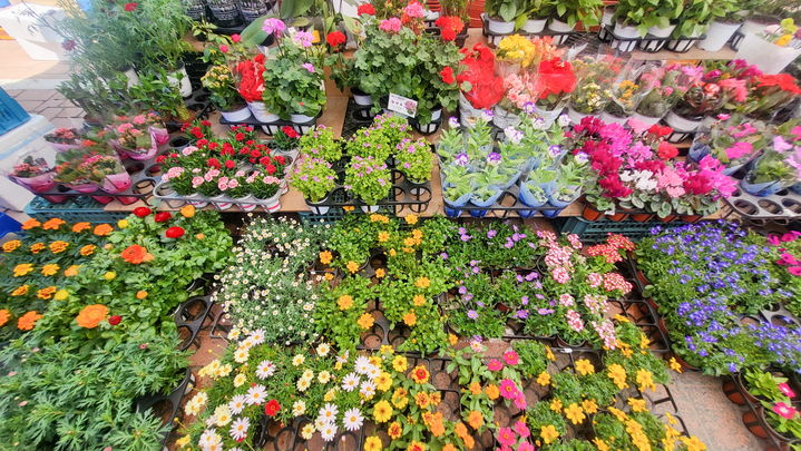 [양양=뉴시스] 양양전통시장 모습.(사진=양양군 제공)photo@newsis.com *재판매 및 DB 금지