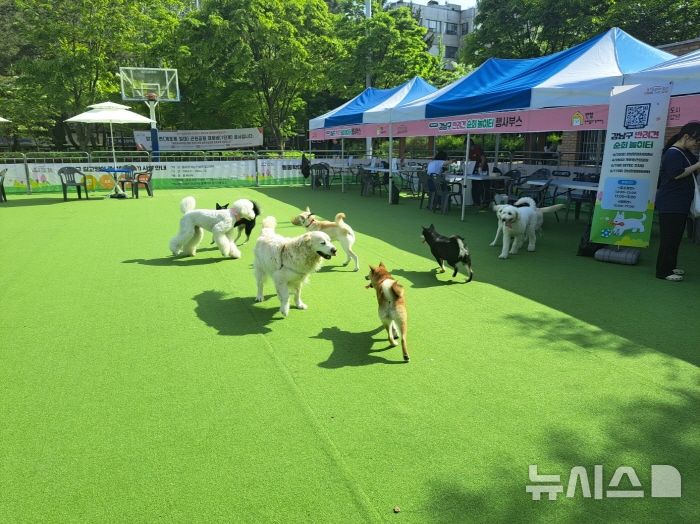 [서울=뉴시스]지난해 강남구 반려견 순회 놀이터에서 뛰어노는 반려견.