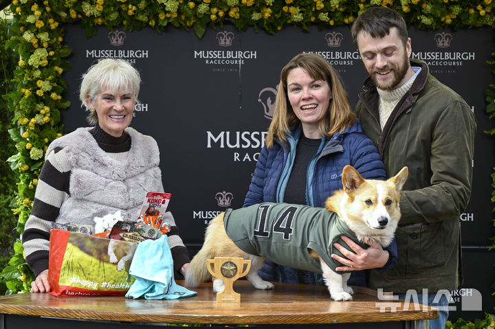 [스코틀랜드=AP/뉴시스] 19일(현지 시간) 스코틀랜드 머슬버러의 머슬버러 경마장에서 열린 연례 웰시코기 경주 대회에서 우승을 차지한 주노와 주인들이 기념촬영 하고 있다. 2025.04.22.<font style="vertical-align: inherit;"><font style="vertical-align: inherit;"></font></font>