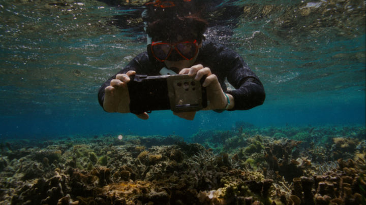 [서울=뉴시스]삼성전자가 해양 보호를 위해 갤럭시 카메라 기술을 활용한 해양 생태계 복원 프로젝트 '코랄 인 포커스(Coral in Focus)'를 위해 산호초를 찍고 있는 모습. (사진=삼성전자 제공) photo@newsis.com *재판매 및 DB 금지