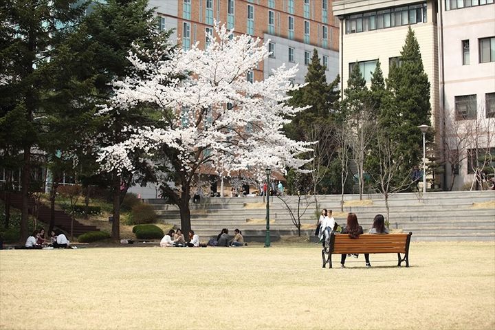 서울여대가 '2025년 서울마이칼리지 공모사업'에 선정됐다. (사진=서울여대 제공) *재판매 및 DB 금지