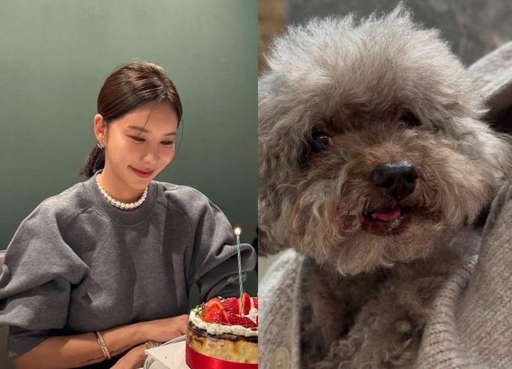 [서울=뉴시스] 방송인 김준희가 반려견과 일상을 공개했다. (사진=김준희 인스타그램 캡처) 2025.04.21. photo@newsis.com&nbsp; *재판매 및 DB 금지