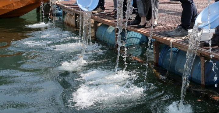 [양구=뉴시스] 22일 양구군은&nbsp; 사업비 3억000만 원을 투입해 뱀장어 10cm이상, 대농갱이 5cm이상, 쏘가리 3cm이상, 다슬기 0.7cm이상의 수산 종자를 확보해, 오는 5월부터 10월까지 파로호, 소양호, 수입천에 각각 방류할 예정이다 고 밝혔다. 양구군 제공. *재판매 및 DB 금지