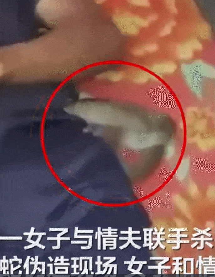 (사진=중국 신경보) *재판매 및 DB 금지