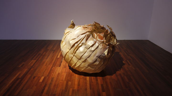 요한한 Yohan HÀN, 메타모포시스 Metamorphosis, 2022-2025, 동물 외피, 천연안료 Animal skin, natural pigment, Variable dimension (1) *재판매 및 DB 금지