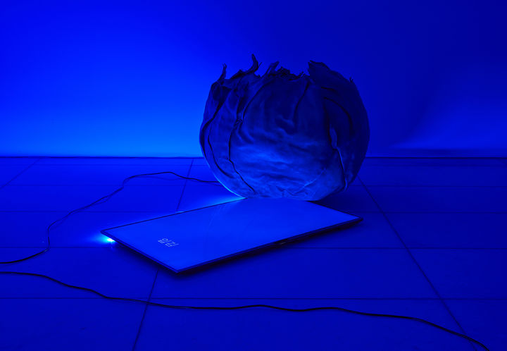 Installtion view of ARARIO GALLERY SEOUL 4F *재판매 및 DB 금지