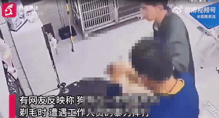 [서울=뉴시스] 중국의 한 동물병원에서 반려견이 미용 도중 직원에게 폭행당했다는 주장이 제기돼 논란이 일고 있다. (사진=웨이보) *재판매 및 DB 금지 *재판매 및 DB 금지