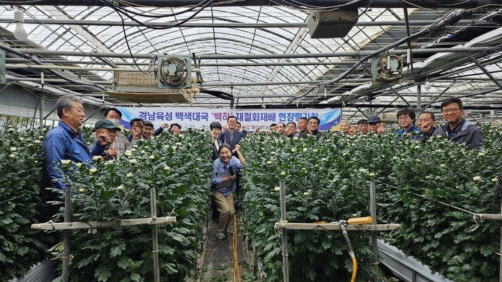 [진주=뉴시스]경남농업기술원, 백하 재절화 재배 현장평가회.(사진=경남농업기술원 제공).2025.04.22.photo@newsis.com *재판매 및 DB 금지