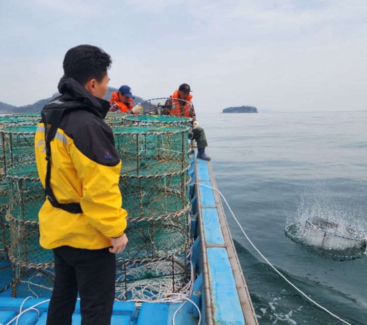 갑오징어 산란시설물 시설 장면 (사진=수산자원공단) *재판매 및 DB 금지