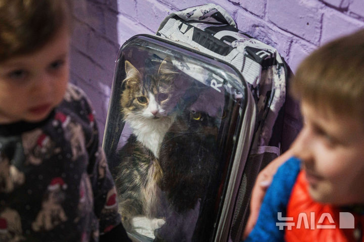 [키이우=AP/뉴시스] 24일(현지 시간) 우크라이나 키이우의 주택가 인근 대피소에 우크라이나 어린이들과 고양이들이 대피해 있다. 비탈리 클리치코 키이우 시장은 러시아의 대규모 공격으로 최소 2명이 숨지고 6명의 어린이와 임산부 등 54명이 부상했다고 밝혔다. 2025.04.24.