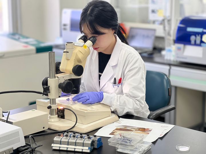 경상남도보건환경연구원, 작은빨간집모기 1개체 확인 검사.(사진=경남도보건환경연구원 제공) 2025.04.24. *재판매 및 DB 금지