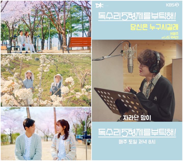 [서울=뉴시스] KBS 2TV 드라마 '독수리 5형제를 부탁해!' OST '당신은 누구시길래'가 발매되자마자 큰 인기를 얻고 있다. (사진=3HW COM 제공) 2025.04.24. photo@newsis.com&nbsp;&nbsp; *재판매 및 DB 금지