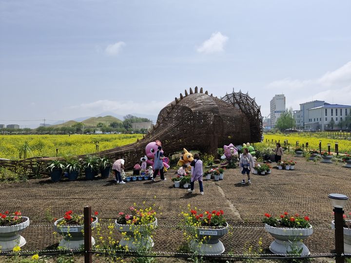 [고성(경남)=뉴시스] 신정철 기자= 경남 고성군 고성읍 기월안뜰경관농업지구는 24일 현재 유채꽃과 청보리, 밀뿐만 아니라 페튜니어, 알부카, 연산홍, 상록사초 무늬모로위/백록담/에버골드/에베레스트 등 다양한 꽃과 나무들이 만개하여 방문객들의 눈과 마음을 사로잡고 있다.(사진=고성군 제공).2025.04.24. photo@newsis.com *재판매 및 DB 금지