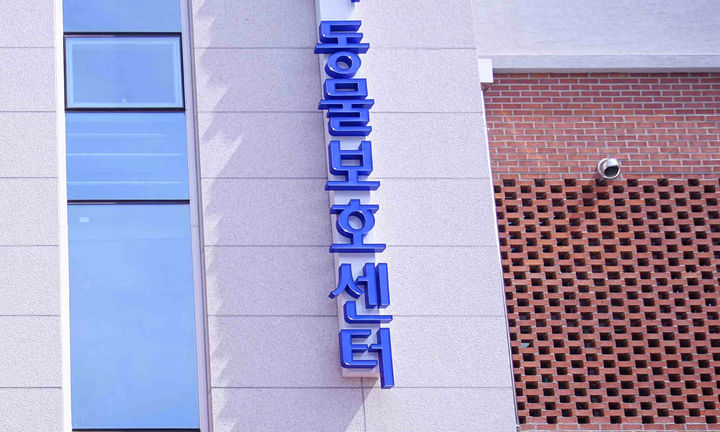 [광주=뉴시스] 광주시 동물보호센. (사진=광주시청 제공·뉴시스 DB). photo@newsis.com *재판매 및 DB 금지