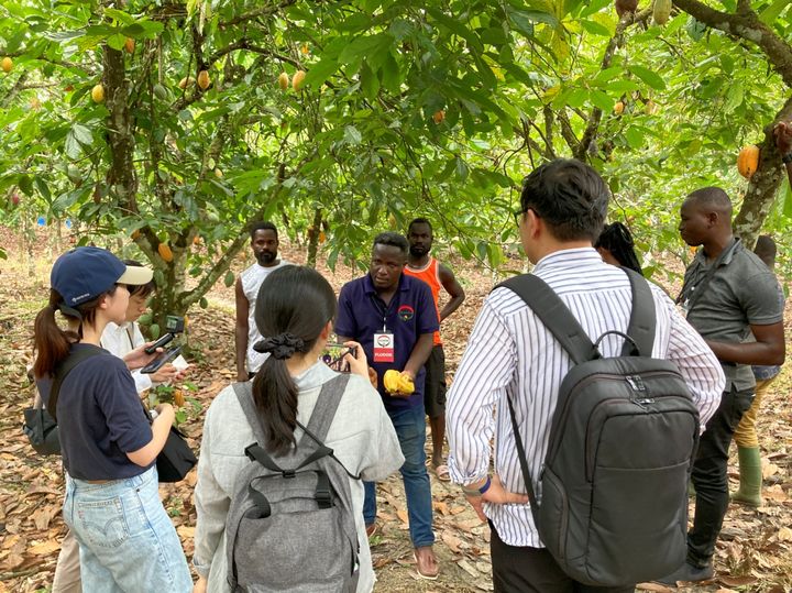 [서울=뉴시스] 지난해 10월 롯데 관계자들이 아프리카 가나 현지를 방문해 현지 농가를 점검하며 지속가능 카카오 원두 프로젝트를 진행하고 있다. (사진=롯데웰푸드) 2025.04.25. photo@newis.com *재판매 및 DB 금지